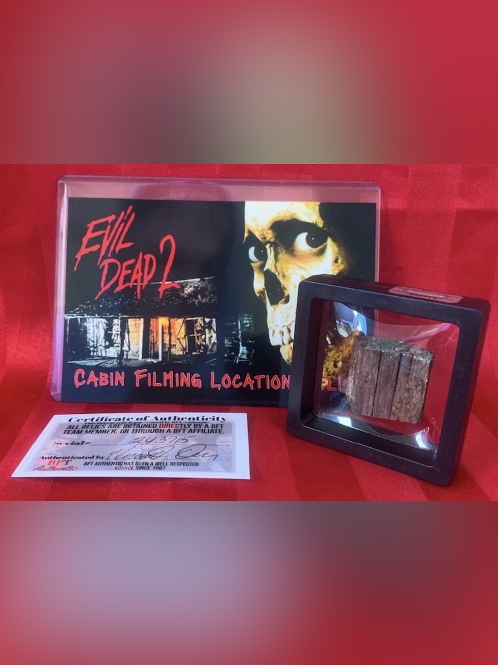 Evil Dead 2 Cabin Filming Location Authentic Horror Wood Relic